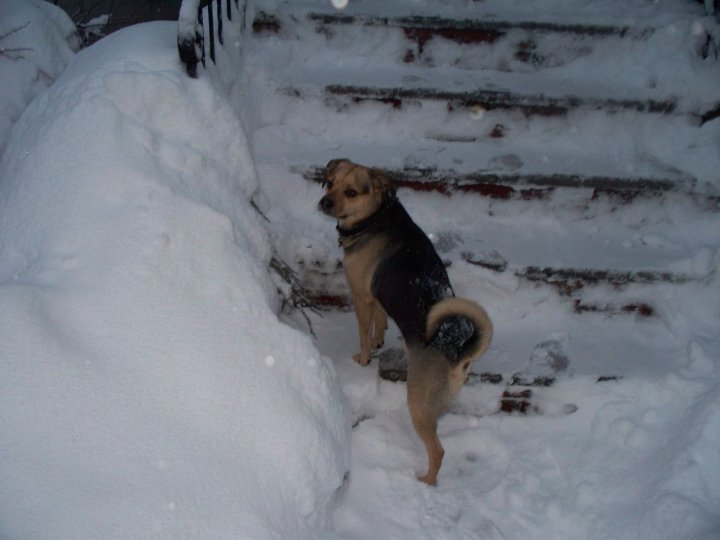 https://0201.nccdn.net/4_2/000/000/020/0be/dugg-2010b.jpg