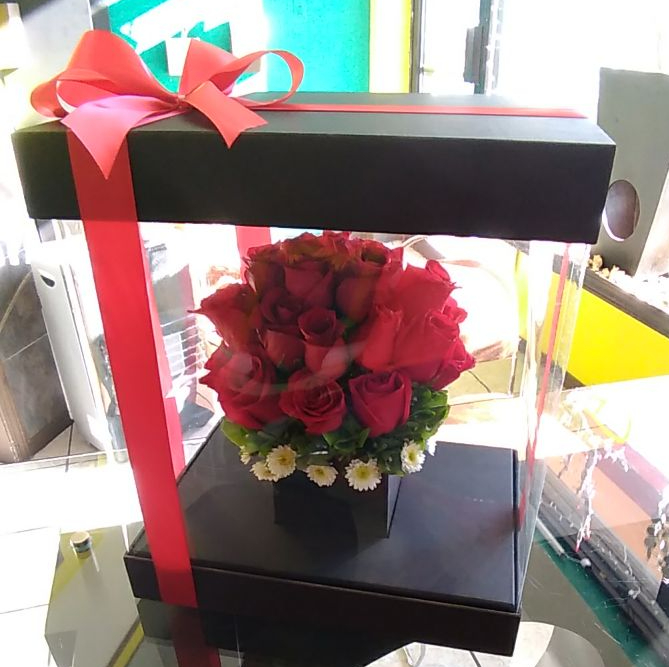 Caja especial de regalo con 24 rosas rojas
$1000