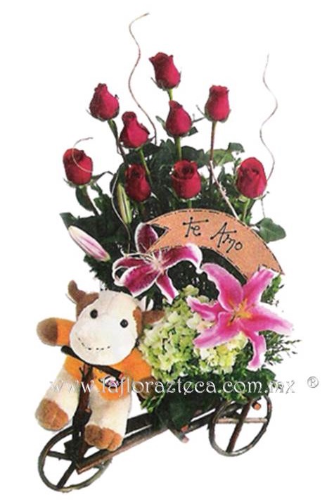 LFA-B005 Bicicleta Artesanal de Troncos
Precio $1,240