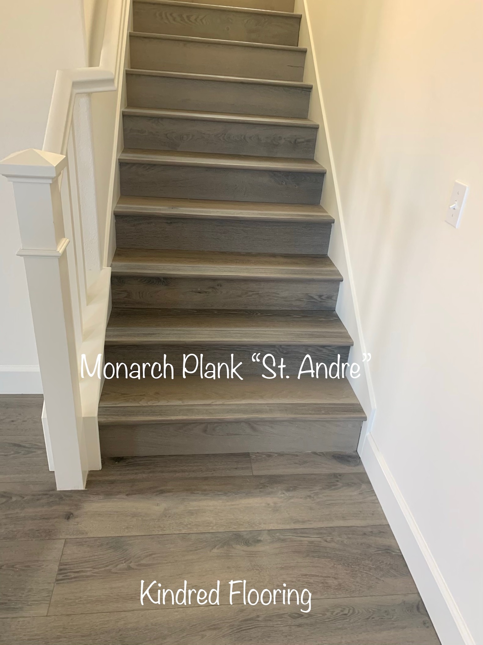 Monarch Plank "St.Andre"