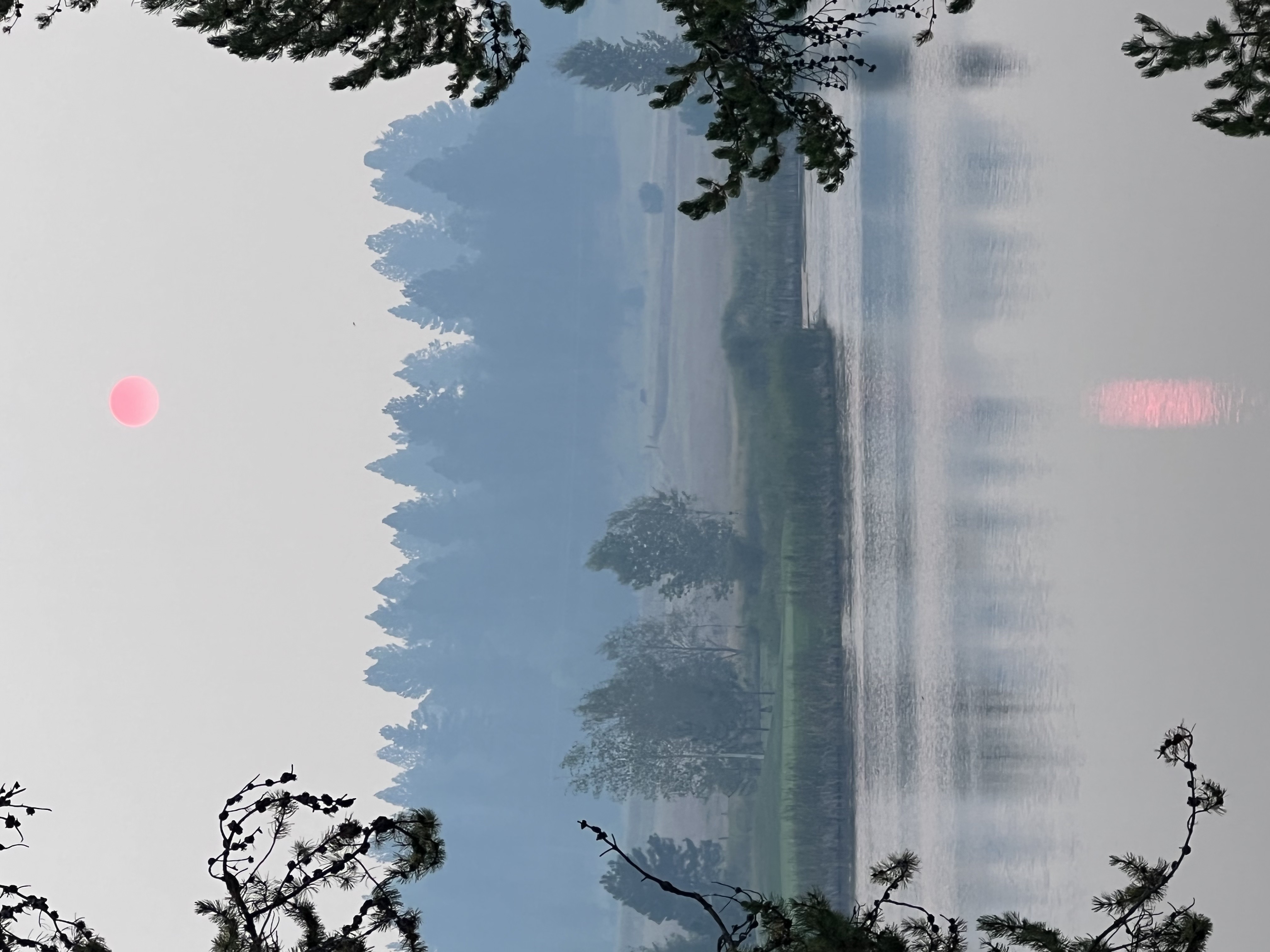 Fluorescent Pink Sunset