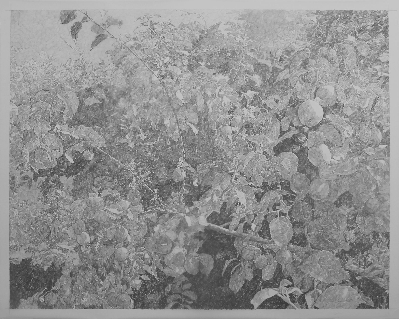 Labor_of_Our_Fruit