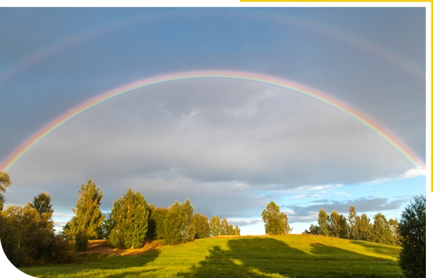 A landscape of trees and a rainbow in the sky