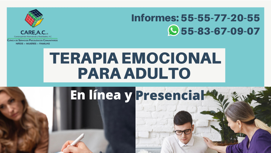 https://0201.nccdn.net/4_2/000/000/020/0be/terapia-emocional.png