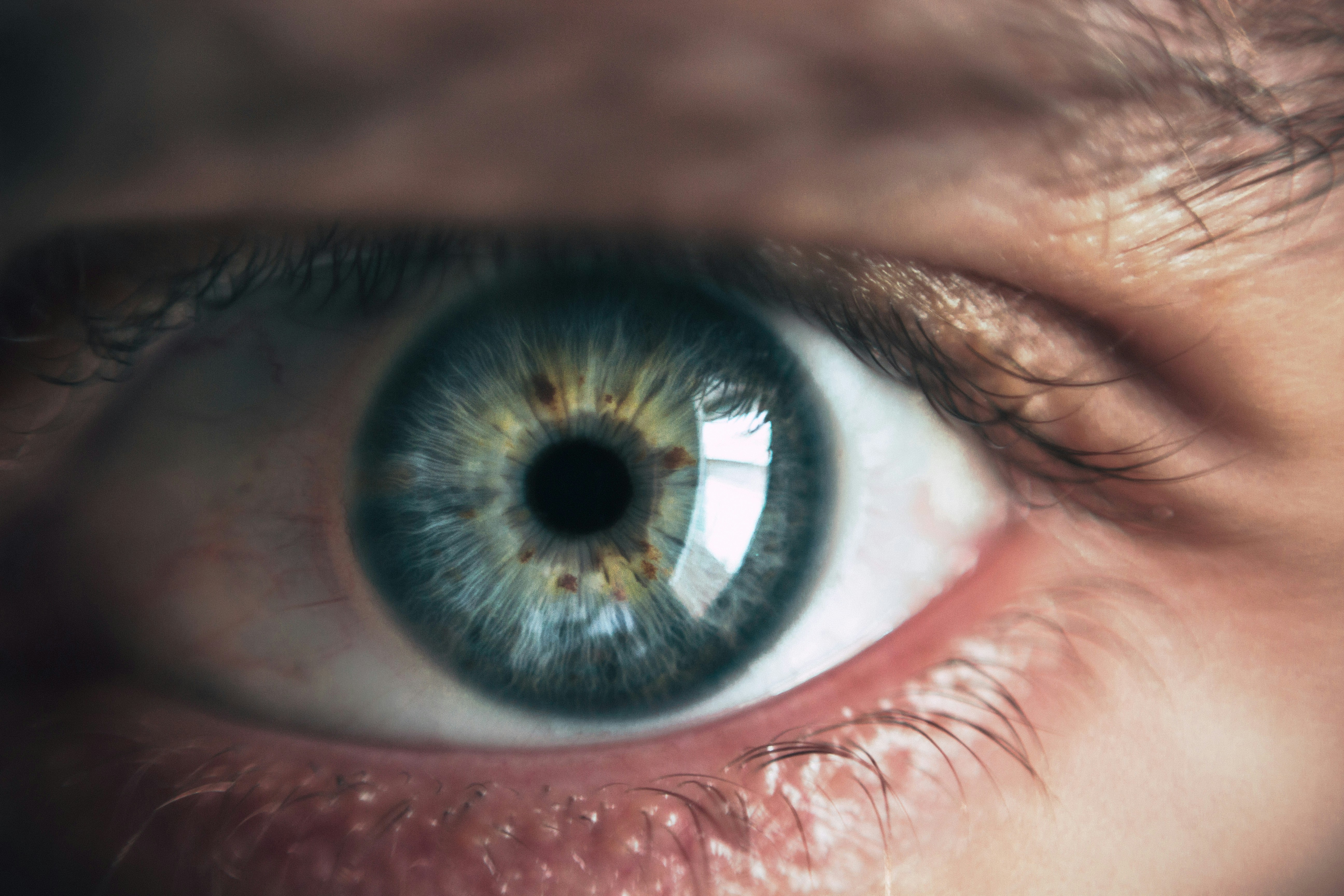 Close up of a human eyeball, with iris/pupil and eyelashes