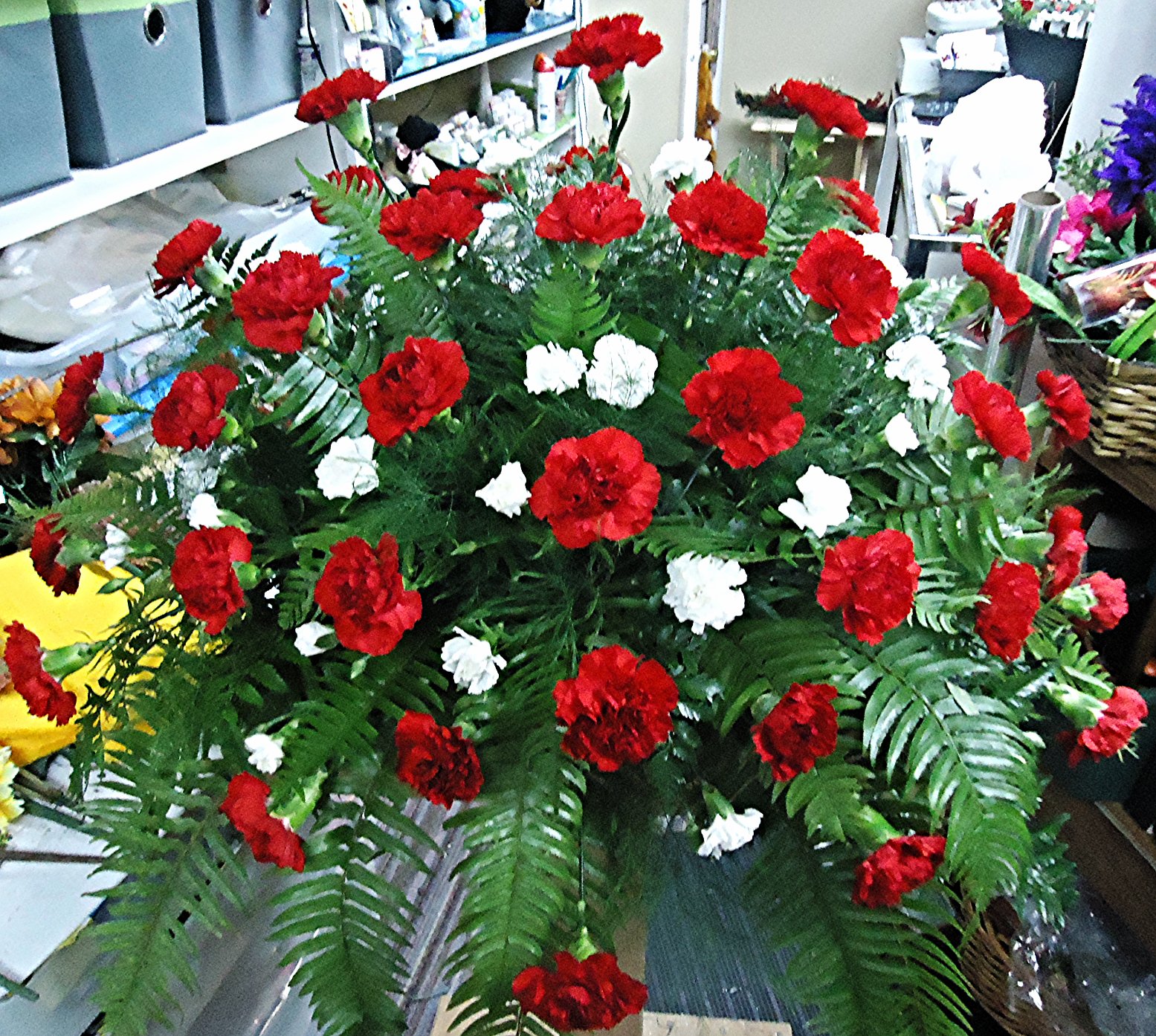 &quot;AFFECTION&quot;  
   Red &amp; White Carnations
    $350.00