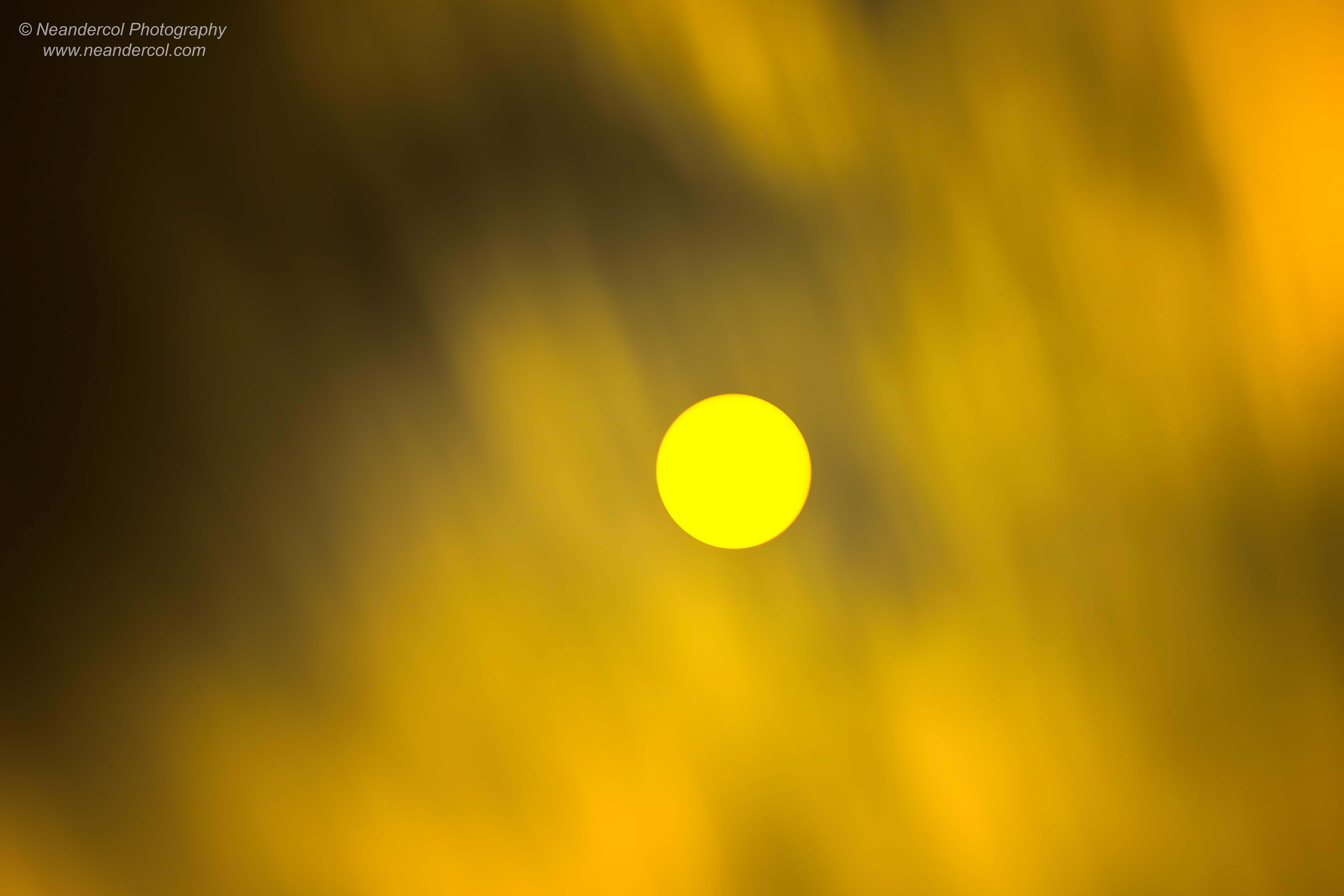 Sun 586