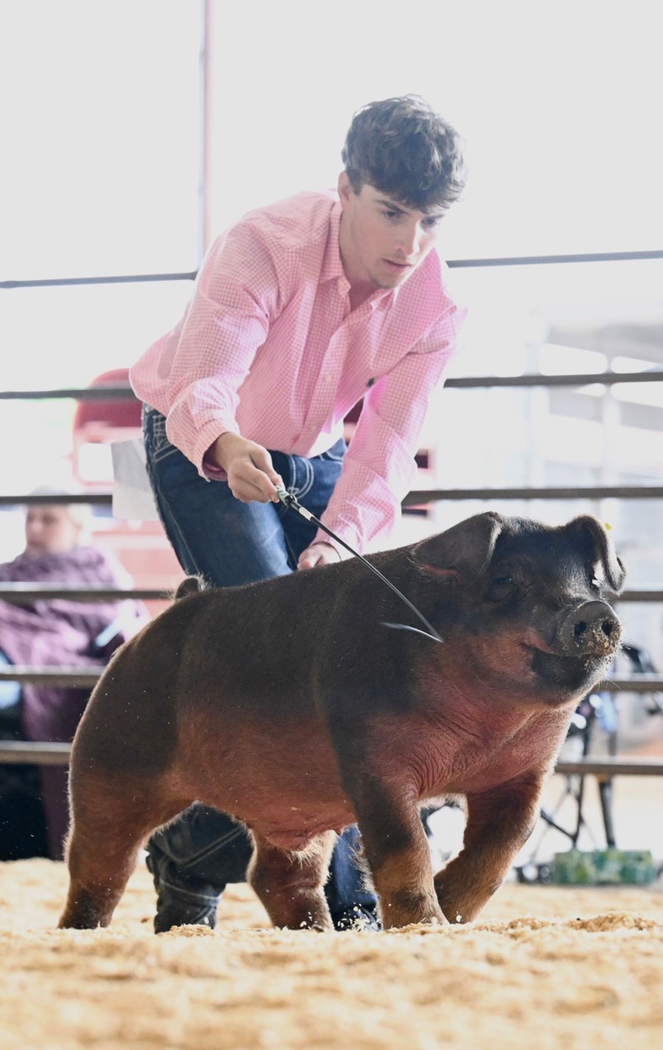 Patrick Lonning
Battle of the Banners
Champion Duroc Barrow
5th Overall Barrow

South Central Spectacular Jackpot
Champion Duroc Barrow 
3rd Overall Barrow