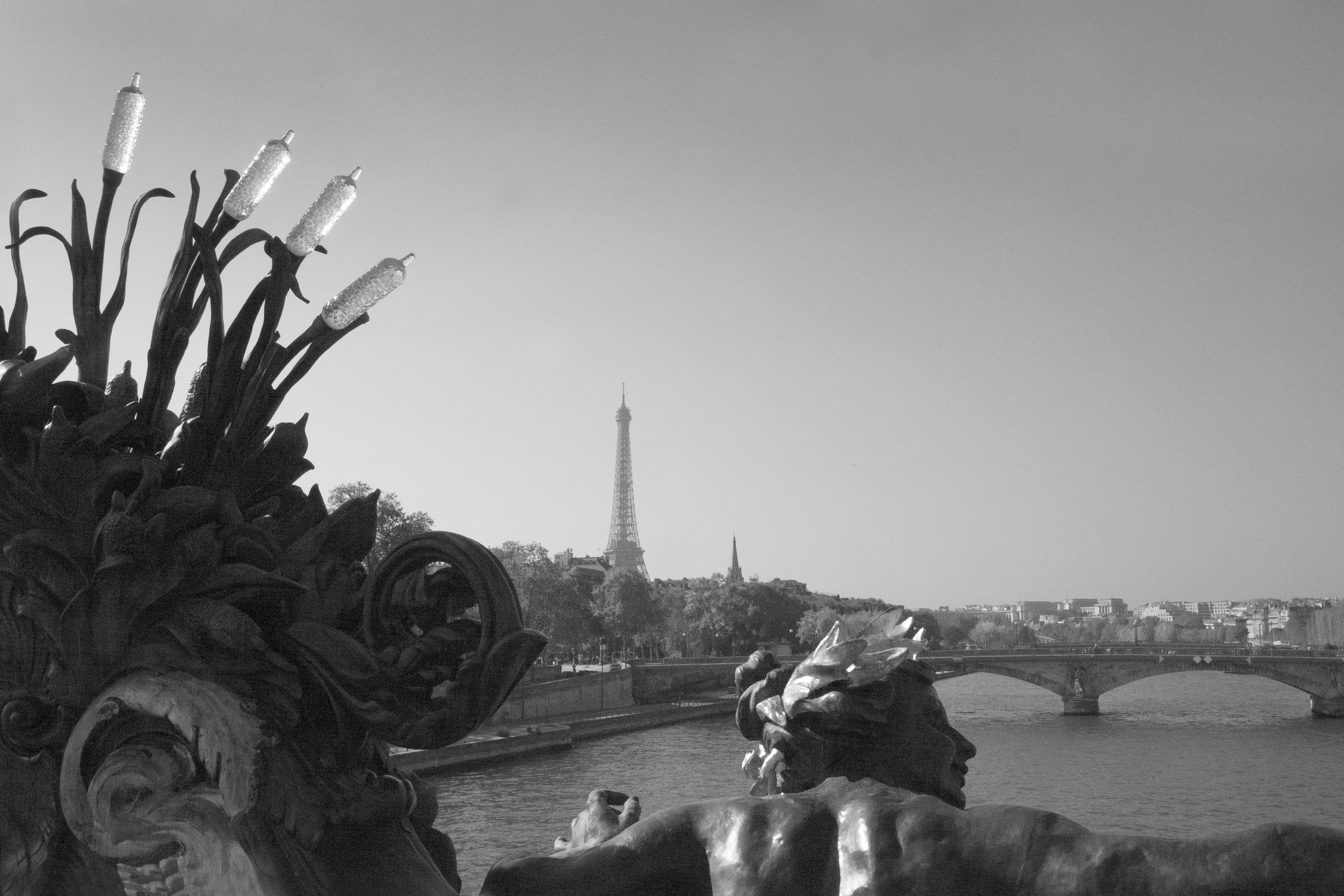 Paris Alexander Bridge View