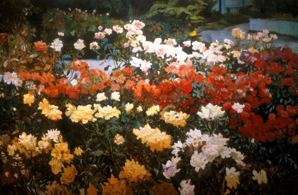 Taylor, PDX Roses