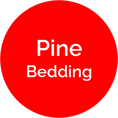 Pine Bedding