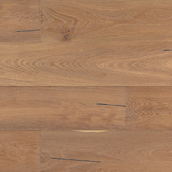 Ingeniería_ValleDuMat_Montpellier_Biscotto