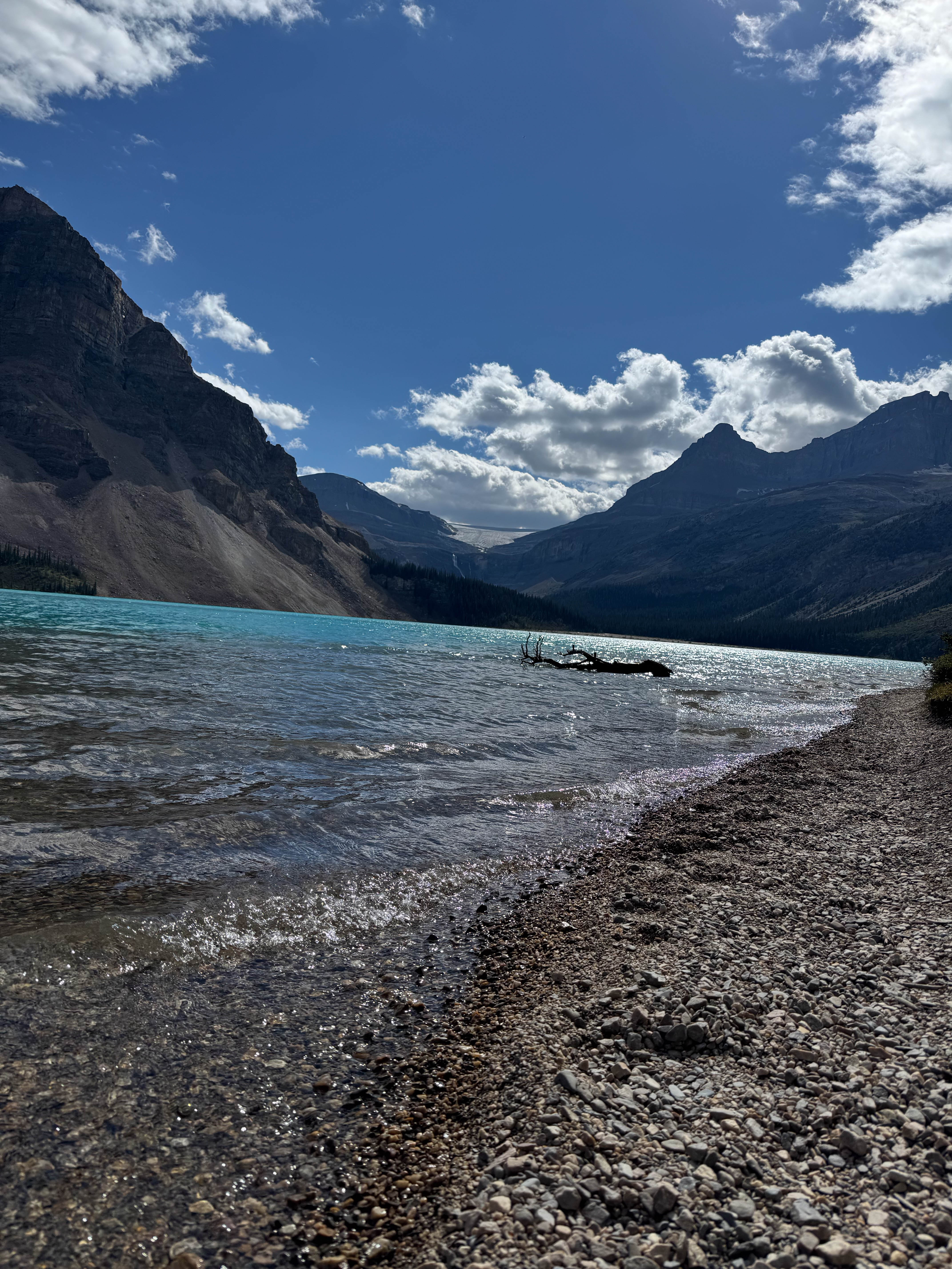https://0201.nccdn.net/4_2/000/000/023/130/calgary-order-220.jpg