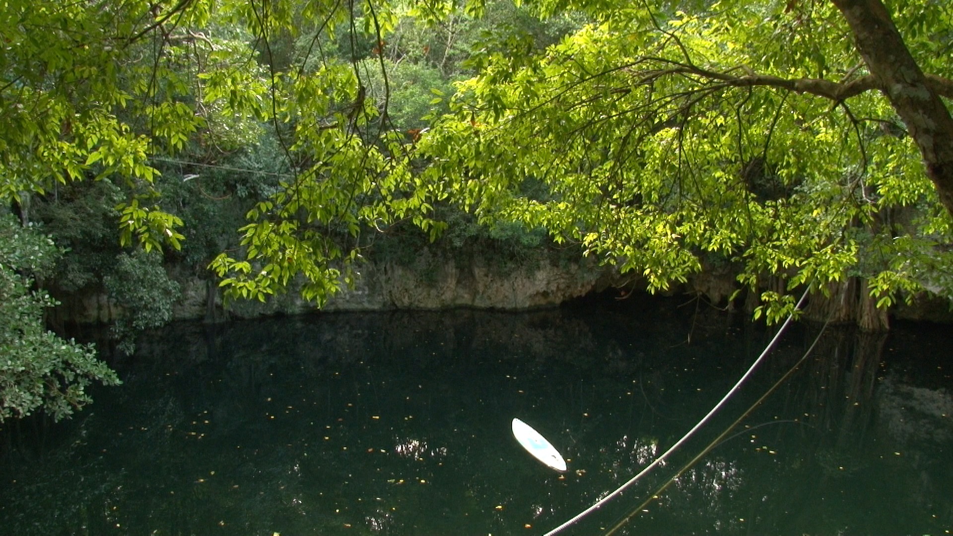 EN CUAL CENOTE  DESEAS NADAR ????