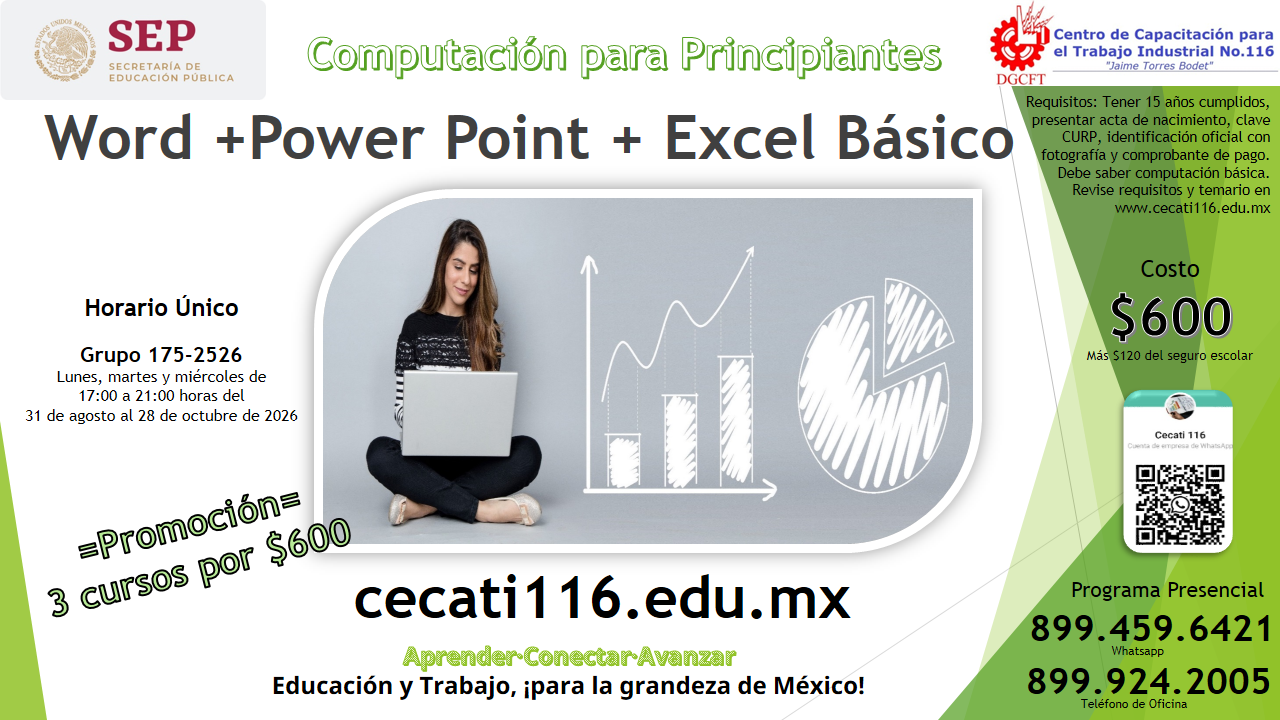 https://0201.nccdn.net/4_2/000/000/023/130/folleto-inform%C3%A1tica-nivel-4-word-powerpoint-excel-b%C3%A1sico.png