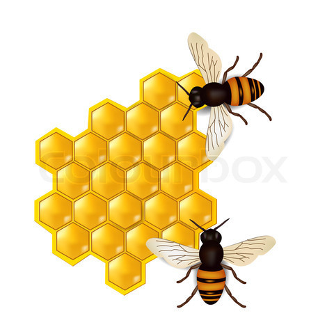 honeycombs-with-honey-bees.jpg honeycombs-with-honey-bees.jpg