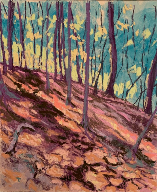 Kaddeche Walk in Archibold Glover Park, 12" x 9" Pastel
