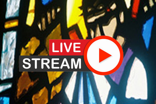 OMOM Live Stream