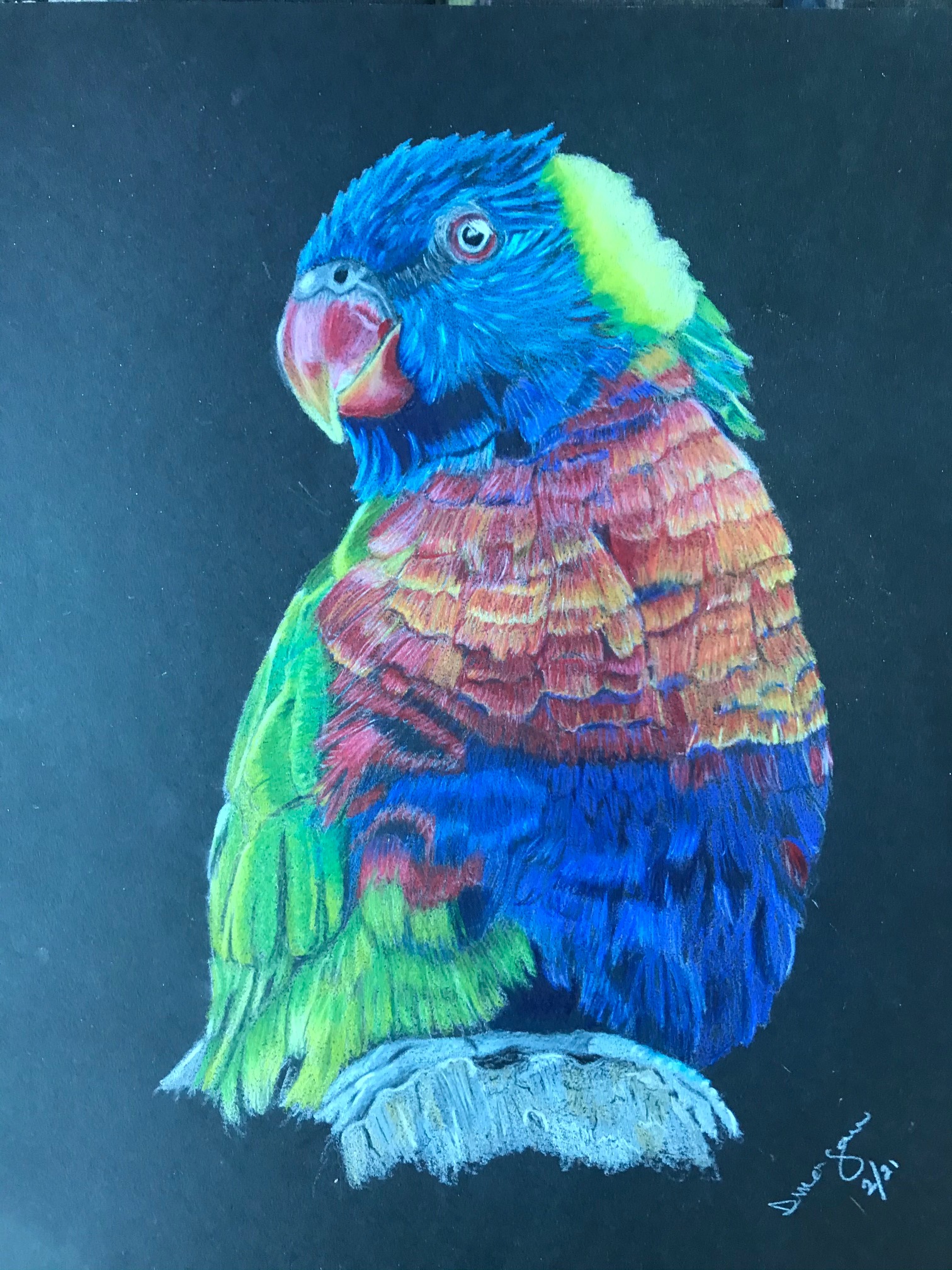 Lorekeet
9x12
Artagain Black Drawing Paper
& OMS