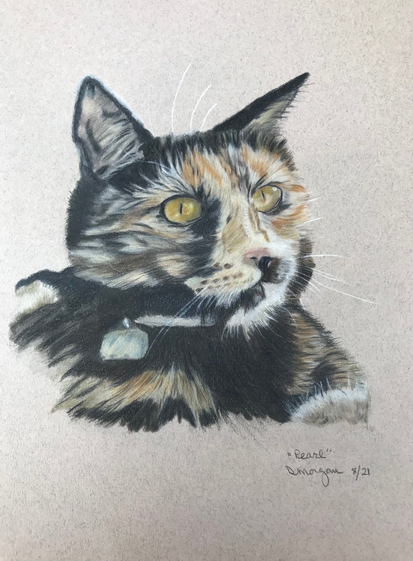 Pearl in Colored Pencil