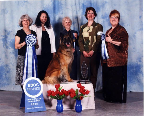 Winner 2008 Hit of HITS