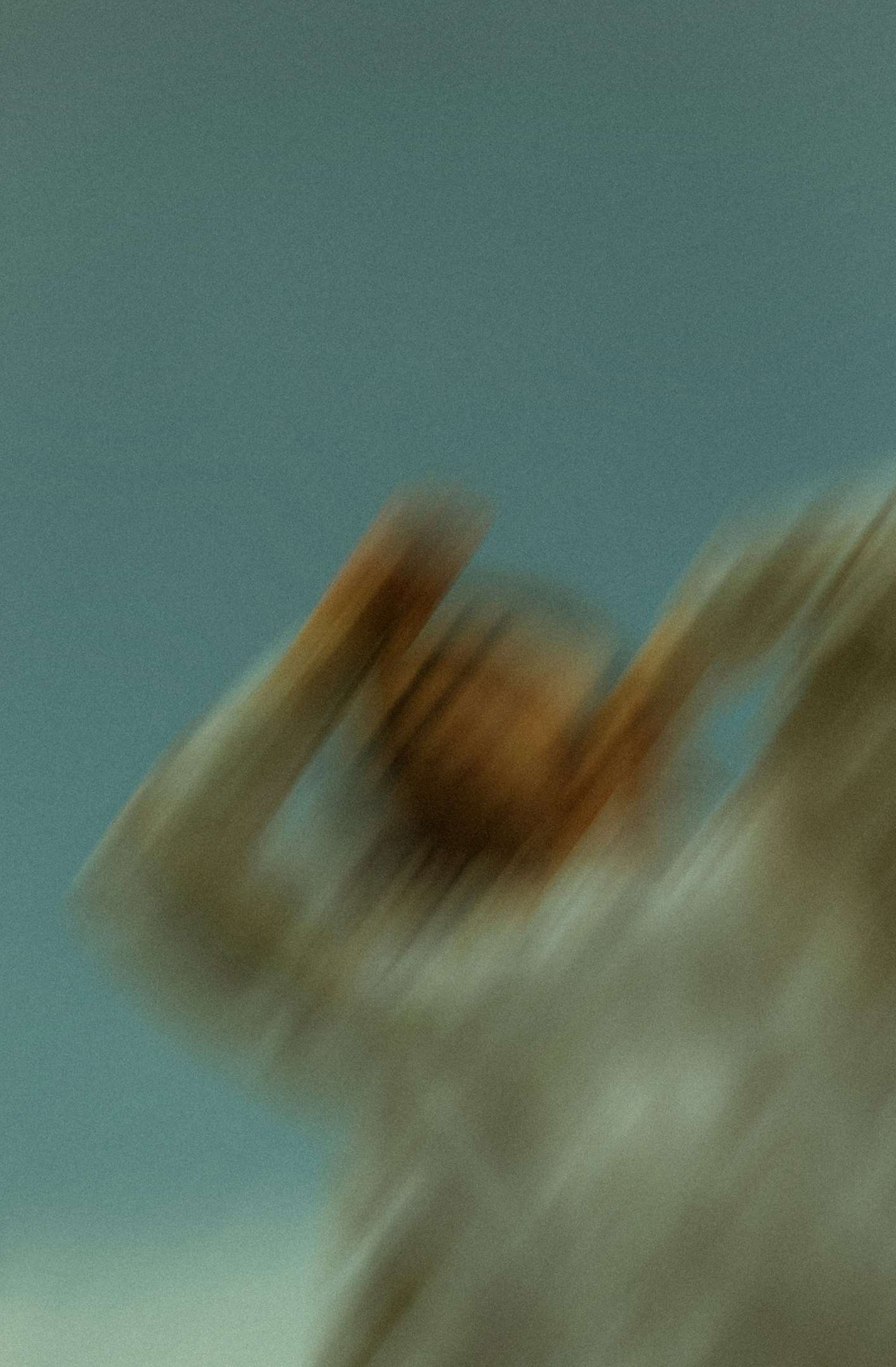 Antonio Pacheco Zarate