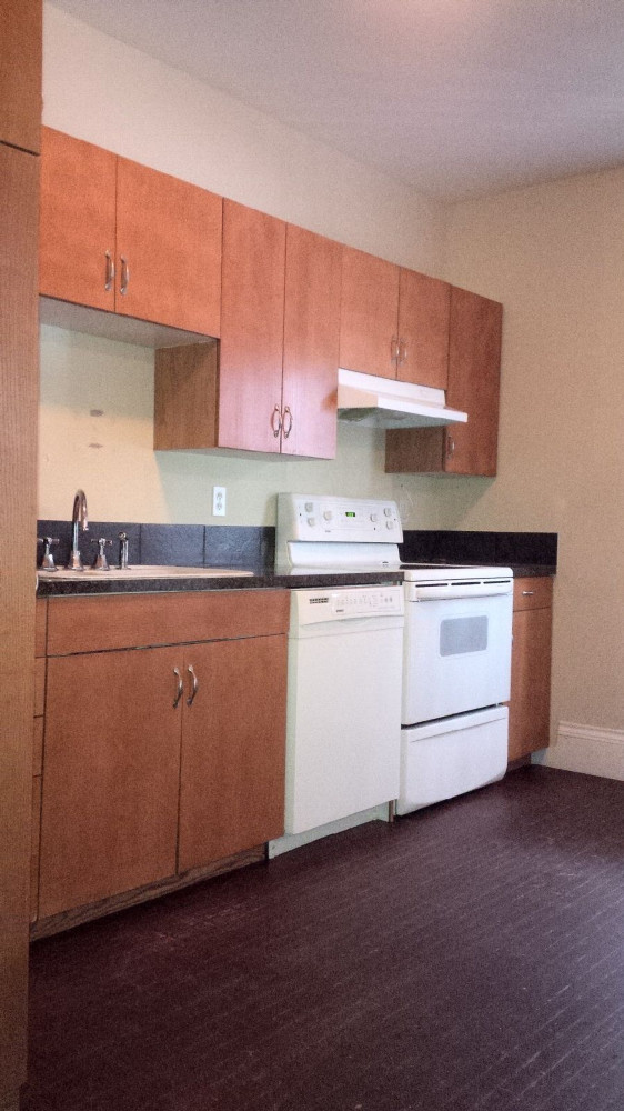 53 Elliott Row #1 Kitchen