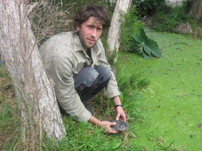Brendan releasing a turtle after its rehab.