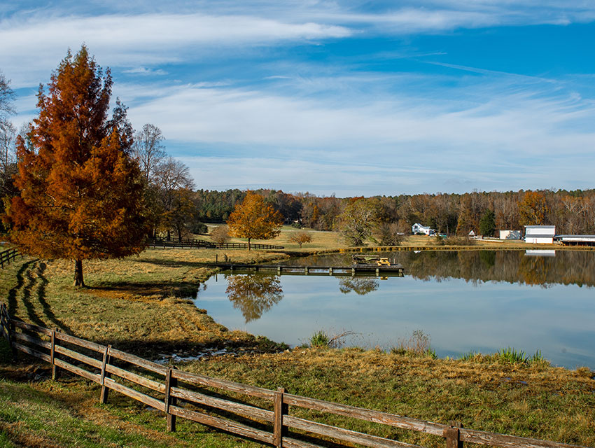 Farm Buildings on a Lake in North Carolina