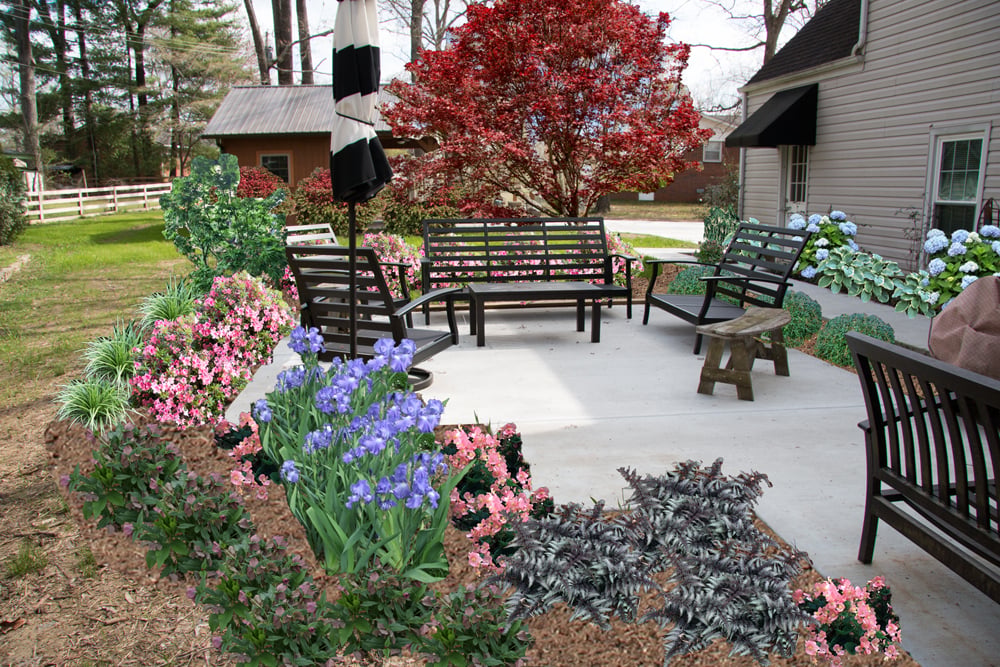 Proposed Home Landscape