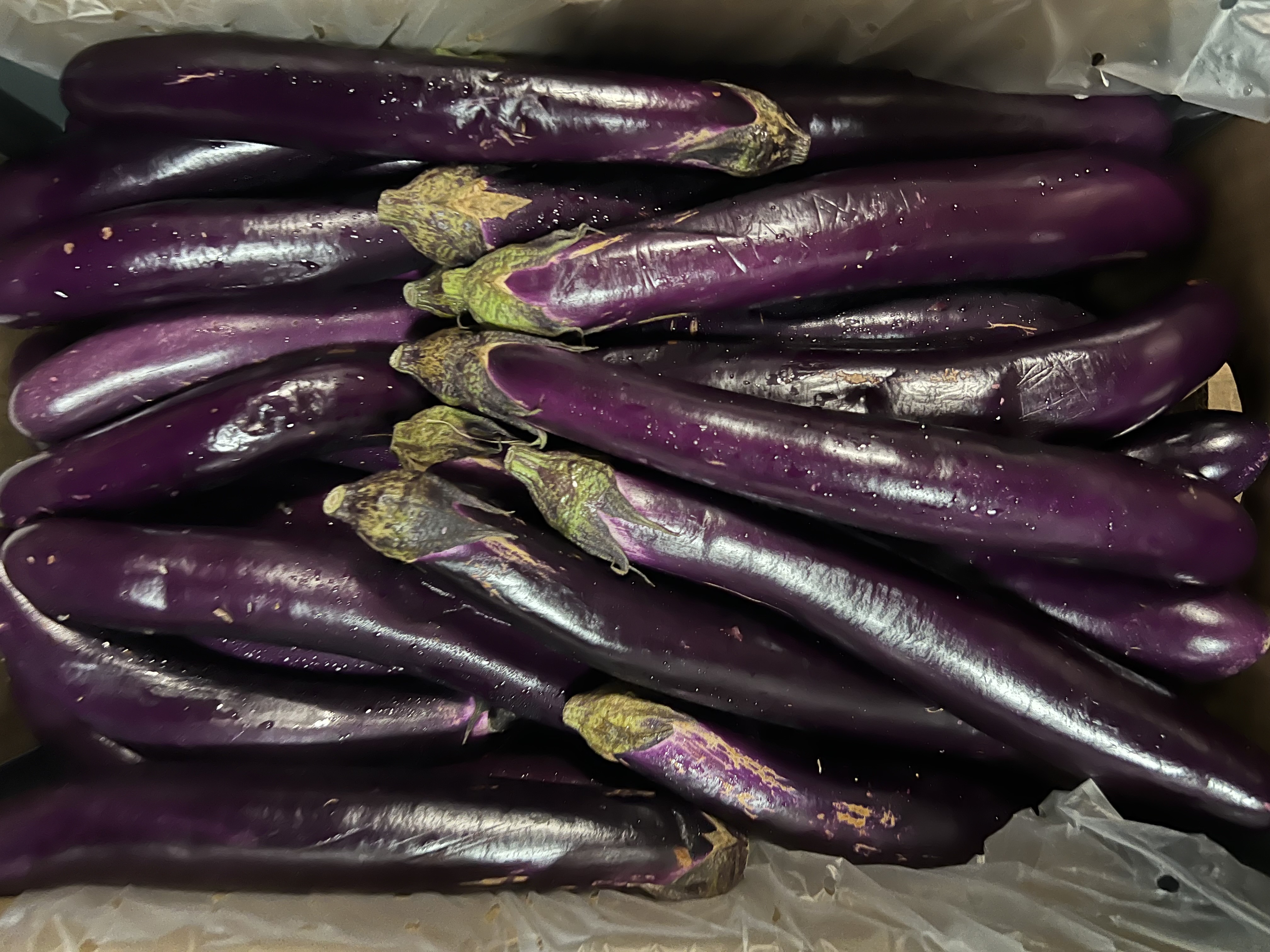 https://0201.nccdn.net/4_2/000/000/024/ec9/img_0726_eggplant_chinese.jpg