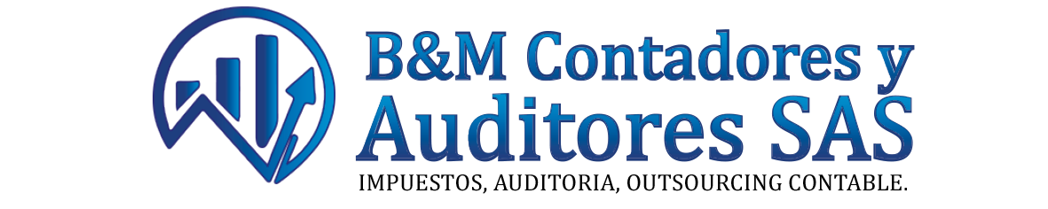 bmcontadoresyauditores.com