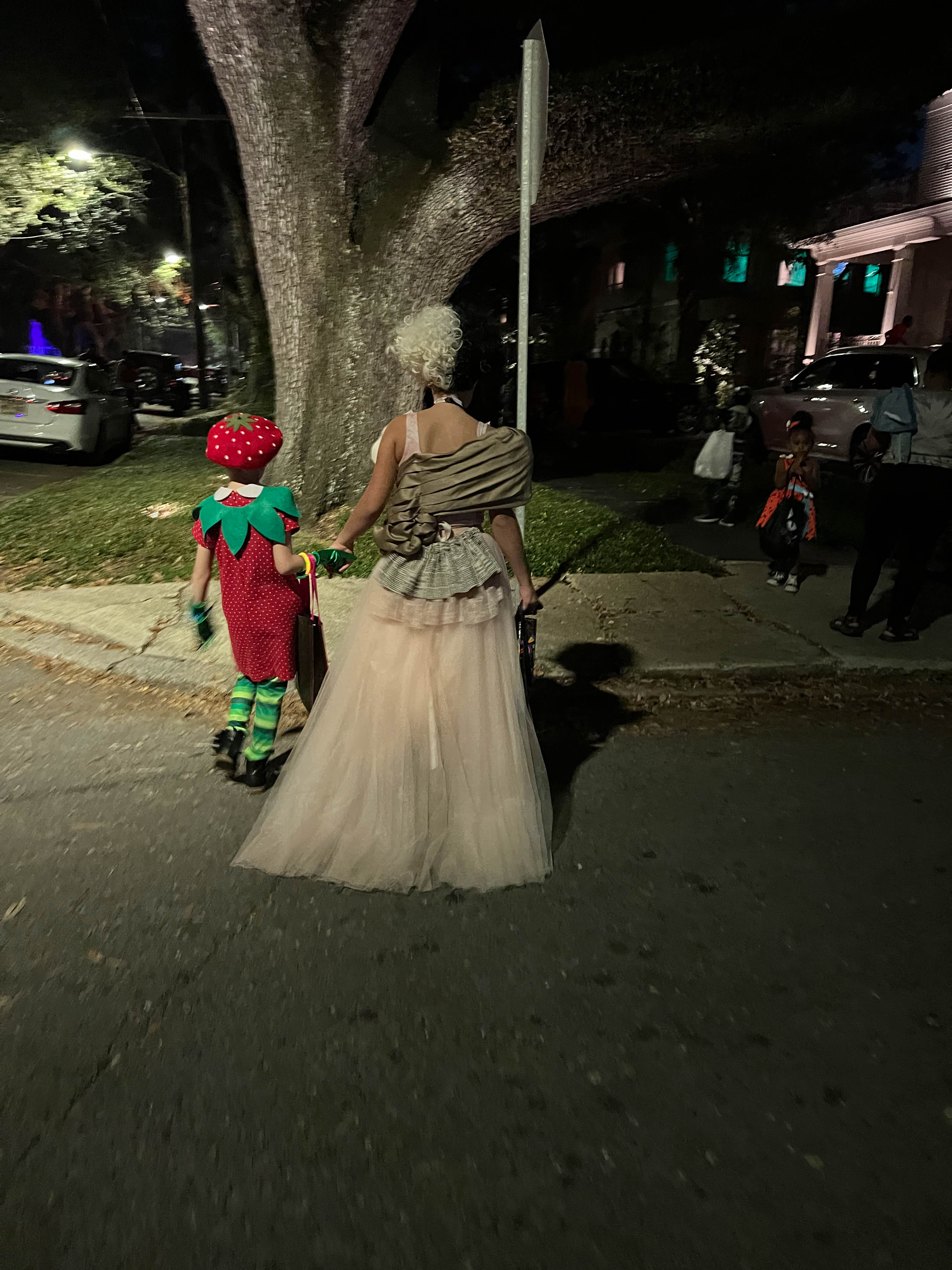 https://0201.nccdn.net/4_2/000/000/024/ec9/new-orleans-order-40.jpg