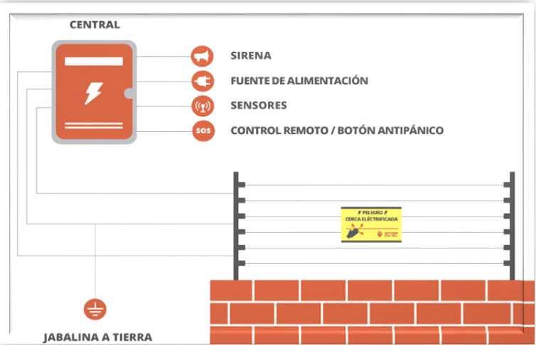 Así es como funciona