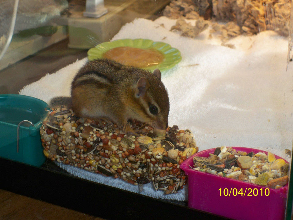 snacking or sitting?