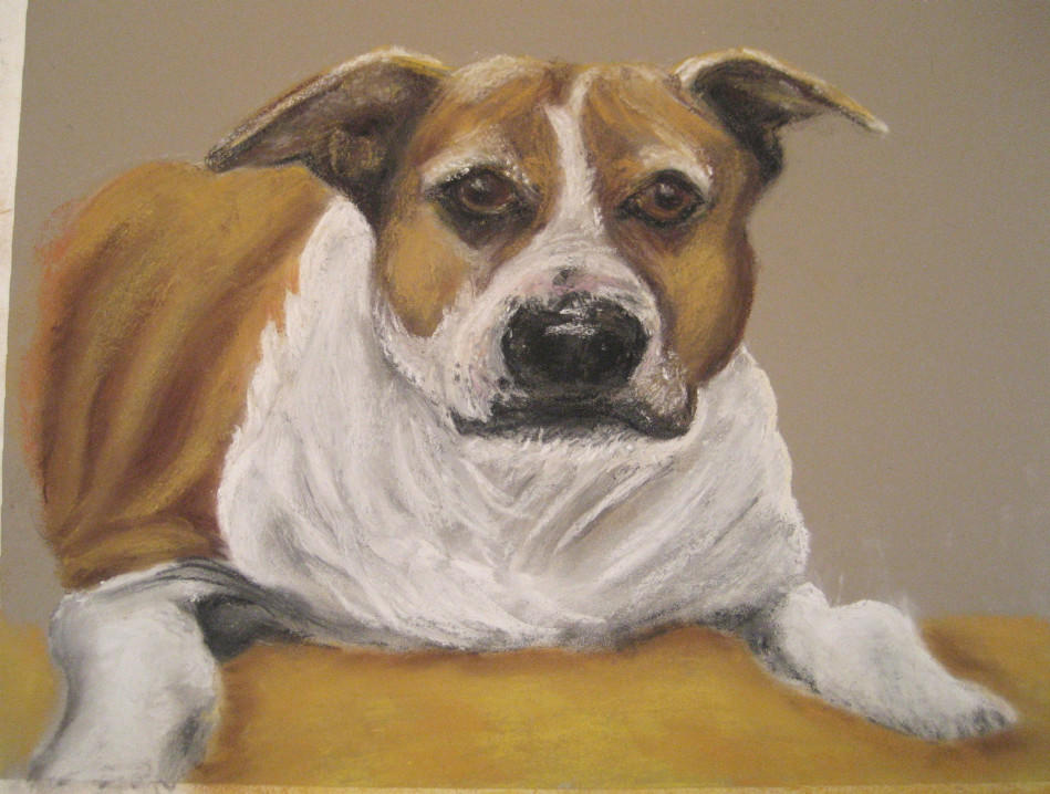 Pastel Portrait of Beloved Pet