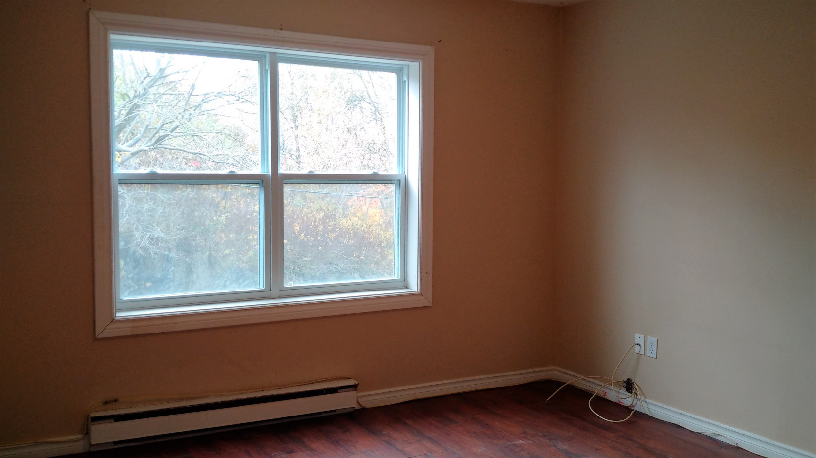 25 Delhi Living Room