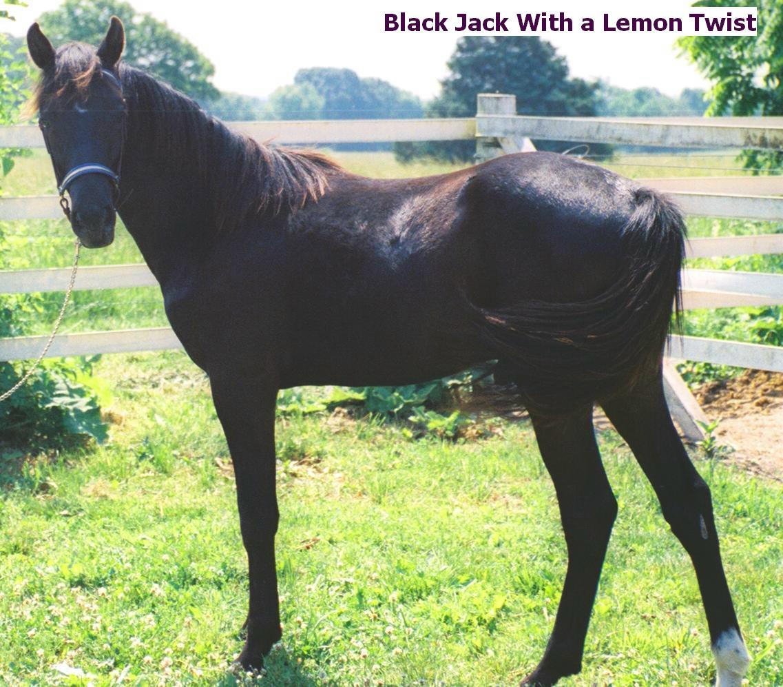 Black Jack With A Lemon Twist
