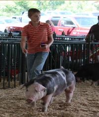 Will Derryberry Champion Spot
2015 TN State Fair