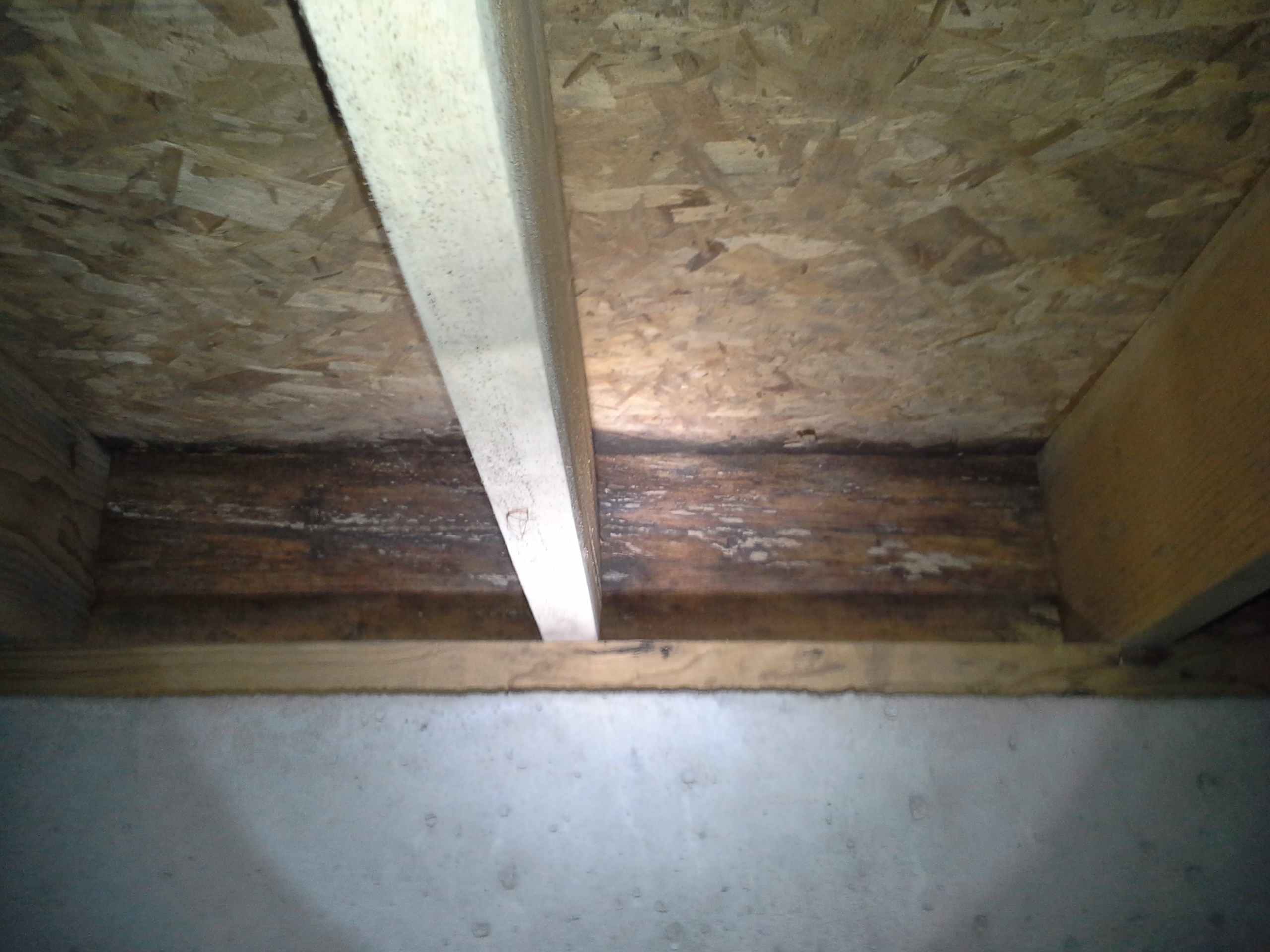 Springfield Foundation Repair Home