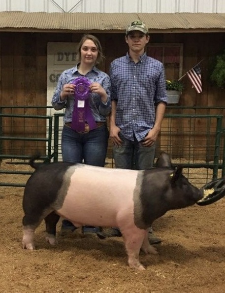 Gracee Woods and Matt Roach
2019 Dyer County Fair
Reserve Champion Cross Barrow
Reserve Champion Spot Gilt
Reserve Champion Chester White Gilt
Reserve Champion Spot Barrow
