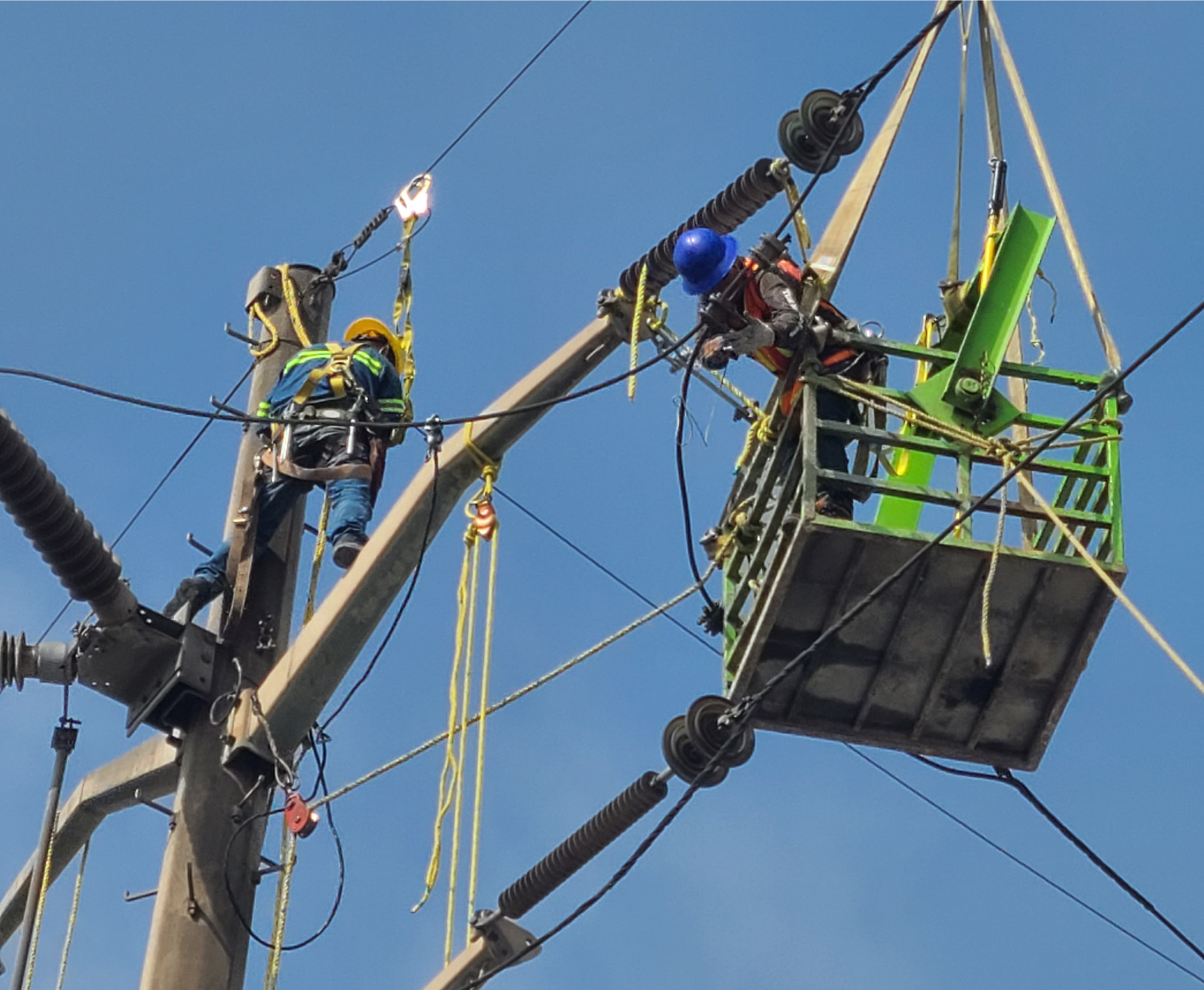 Oficina moderna con un monitor de computadora encendido, rodeado de plantas verdes y libros en un escritorio blanco.