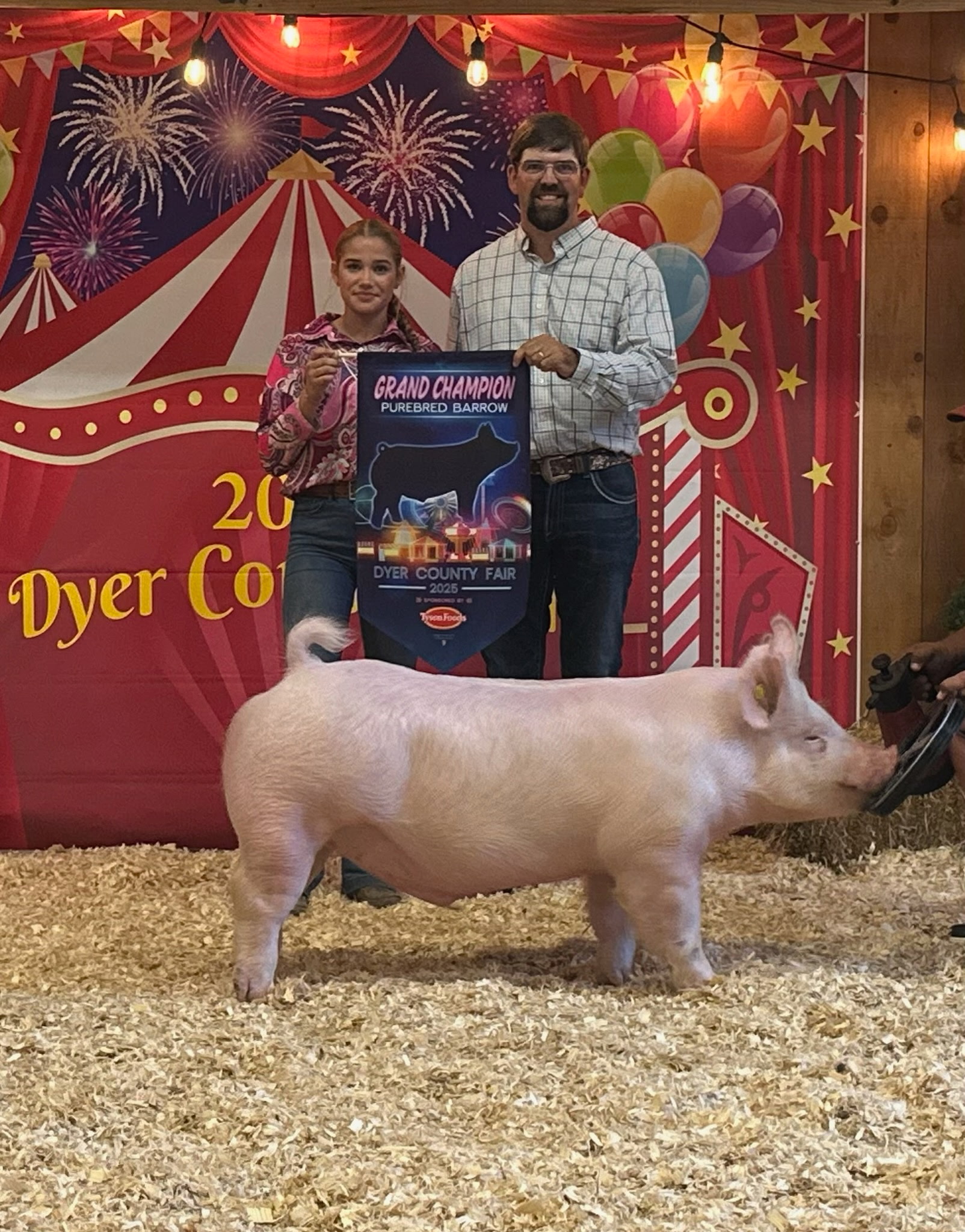 Cara Roach
2025 Dyer County Fair
Champion Yorkshire Barrow
Supreme Overall Barrow