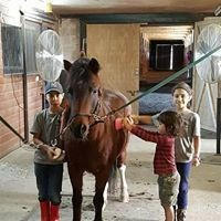 Hunter: Enjoying a little grooming session with Cosmo, Luna and Kia.