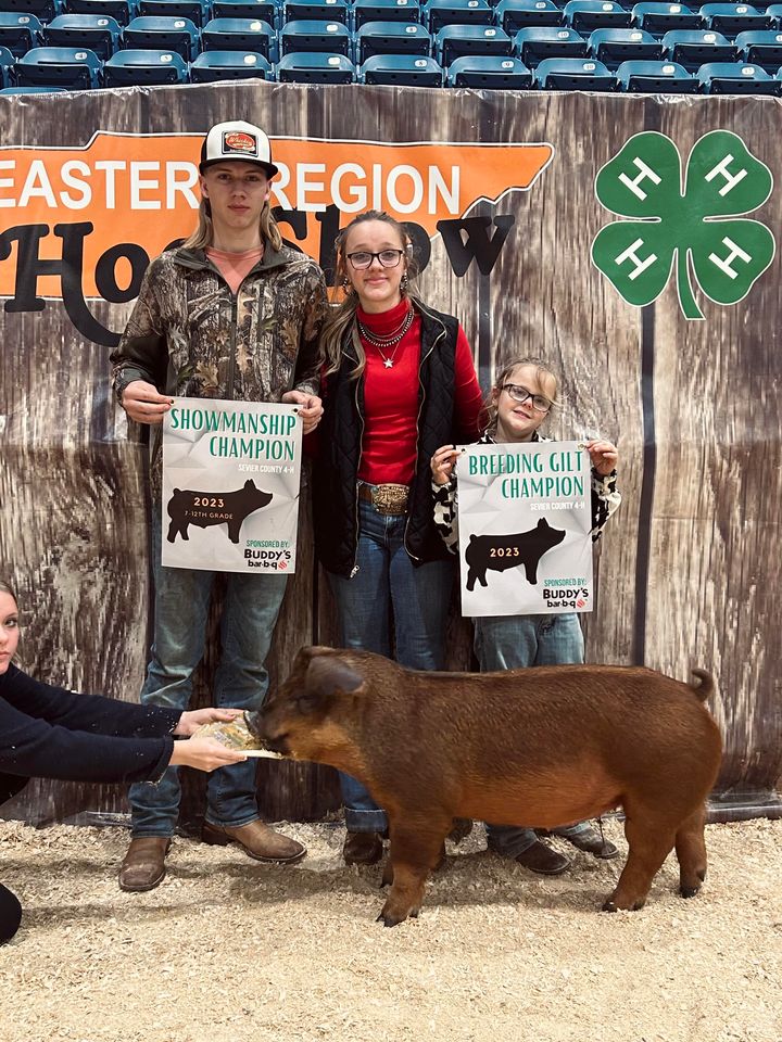 Ivy Johnson
2023 Sevier County 4-H Show
Champion Duroc Breeding Gilt
