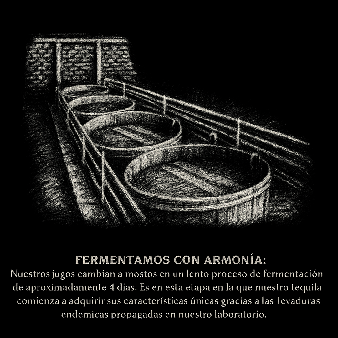 https://0201.nccdn.net/4_2/000/000/038/2d3/4-fermentacion-hacienda_capellania.png