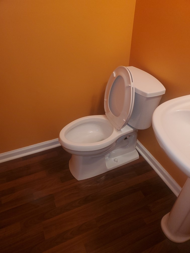 https://0201.nccdn.net/4_2/000/000/038/2d3/4-toilet.jpg