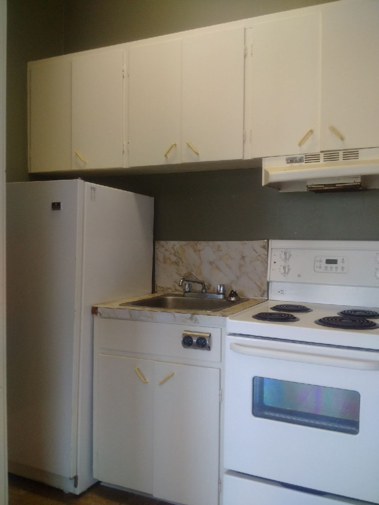 421 Douglas #3 Kitchen