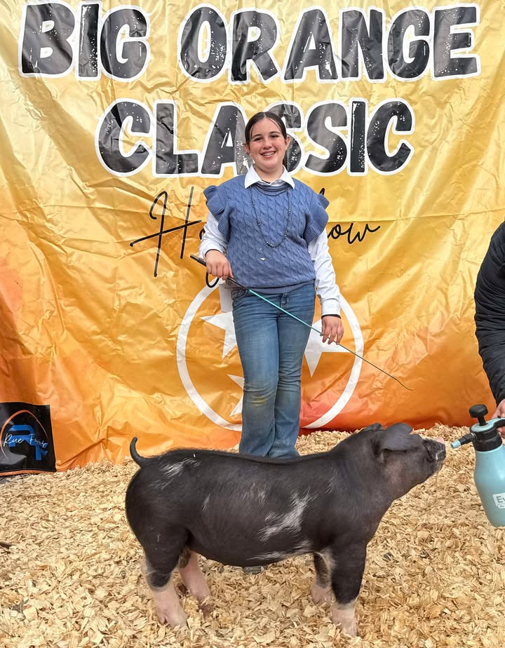 Kinley Porter
2025 Big Orange Fall Classic
Champion Tennessee Bred 
Spot Gilt