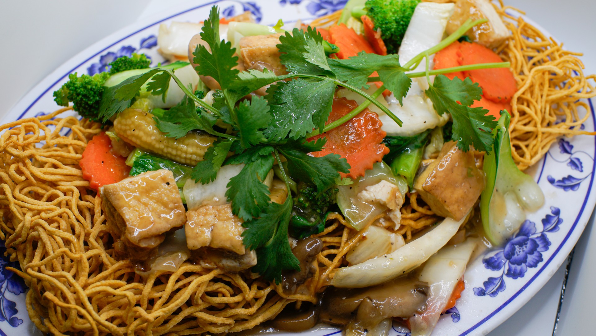 16V. MI XAO CHAY (G)
Crispy Egg Noodles
W/ Stir Fried Mixed Vegetables 
and Tofu